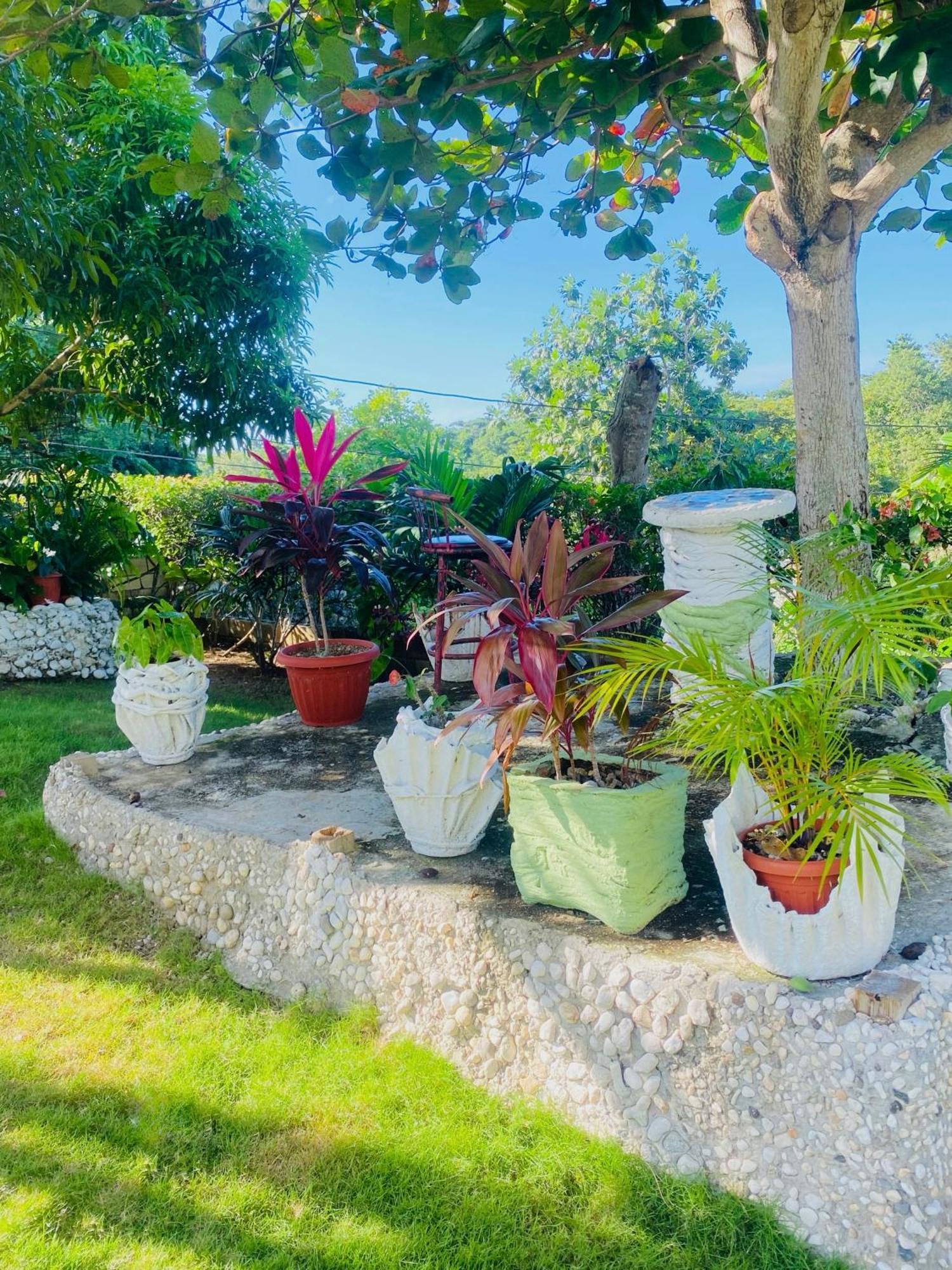 Cindy'S Garden Stay Ocho Ríos Exterior foto